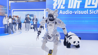 国产成人精品一区二区不卡